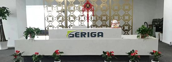 Customized new speedometer